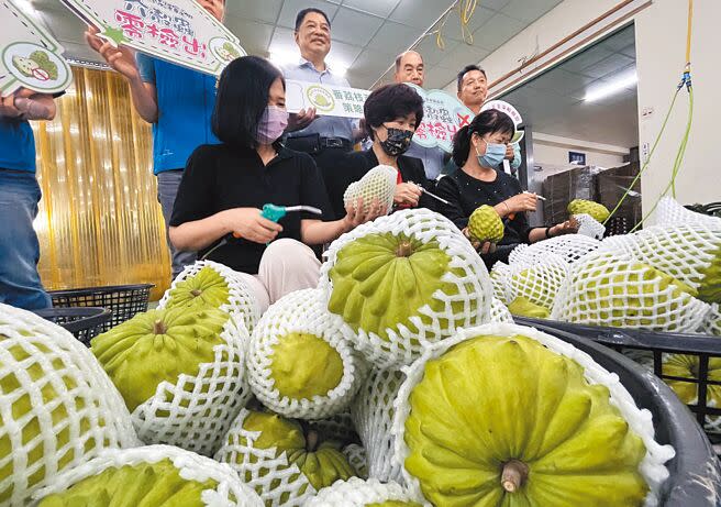 台東鳳梨釋迦正值產期，台東縣長饒慶鈴（前排中）允諾會替農民拓展各類通路，不放棄任何管道與資源。（莊哲權攝）