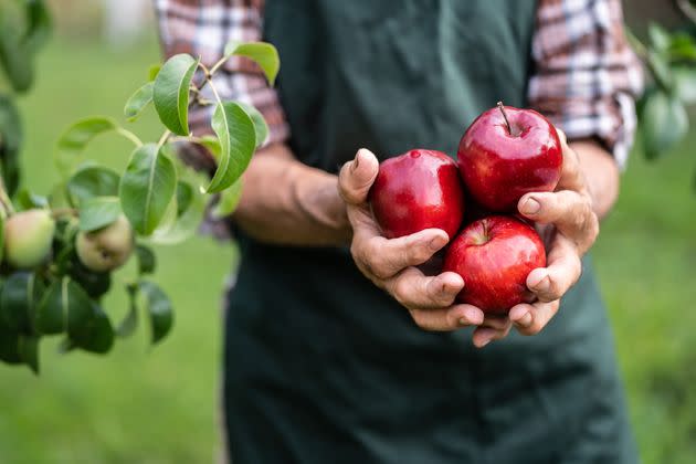 Mature farmer holding red apples (Photo: valentinrussanov via Getty Images)