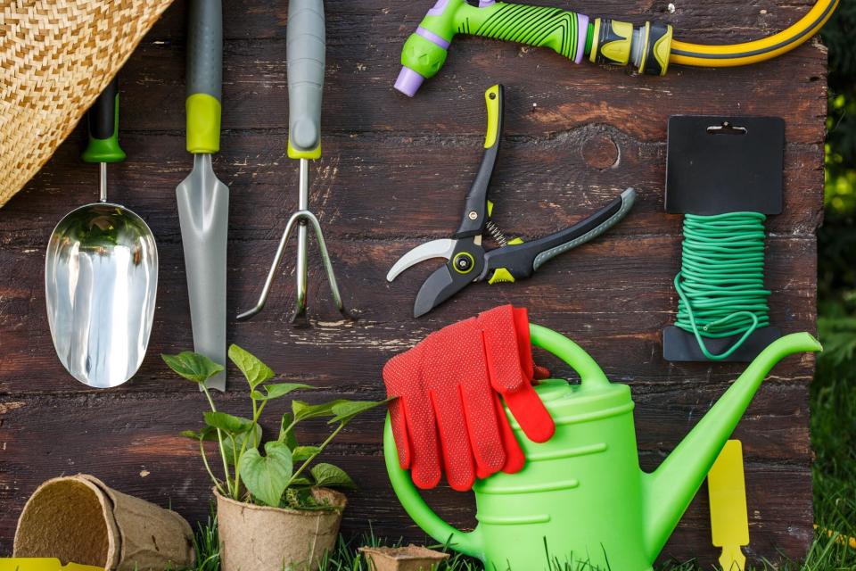 assortment of gardening tools on dark wood