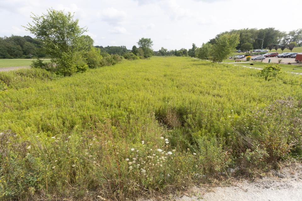 Plain Township in July bought this meadow, prairie and wetland habitat totaling nearly 20 acres. Called Monarch Meadows, the property is located on Schneider Street NE.