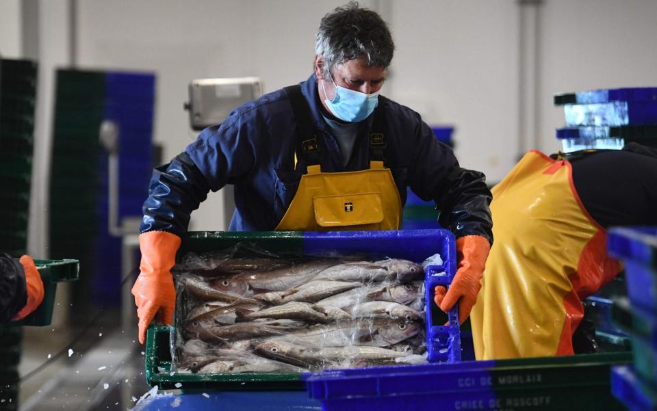 Workers unload fish in the port of Roscoff, western France on November 12 - FRED TANNEAU /AFP