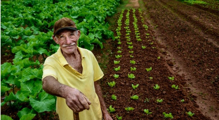 Anciano trabajando en una granja
