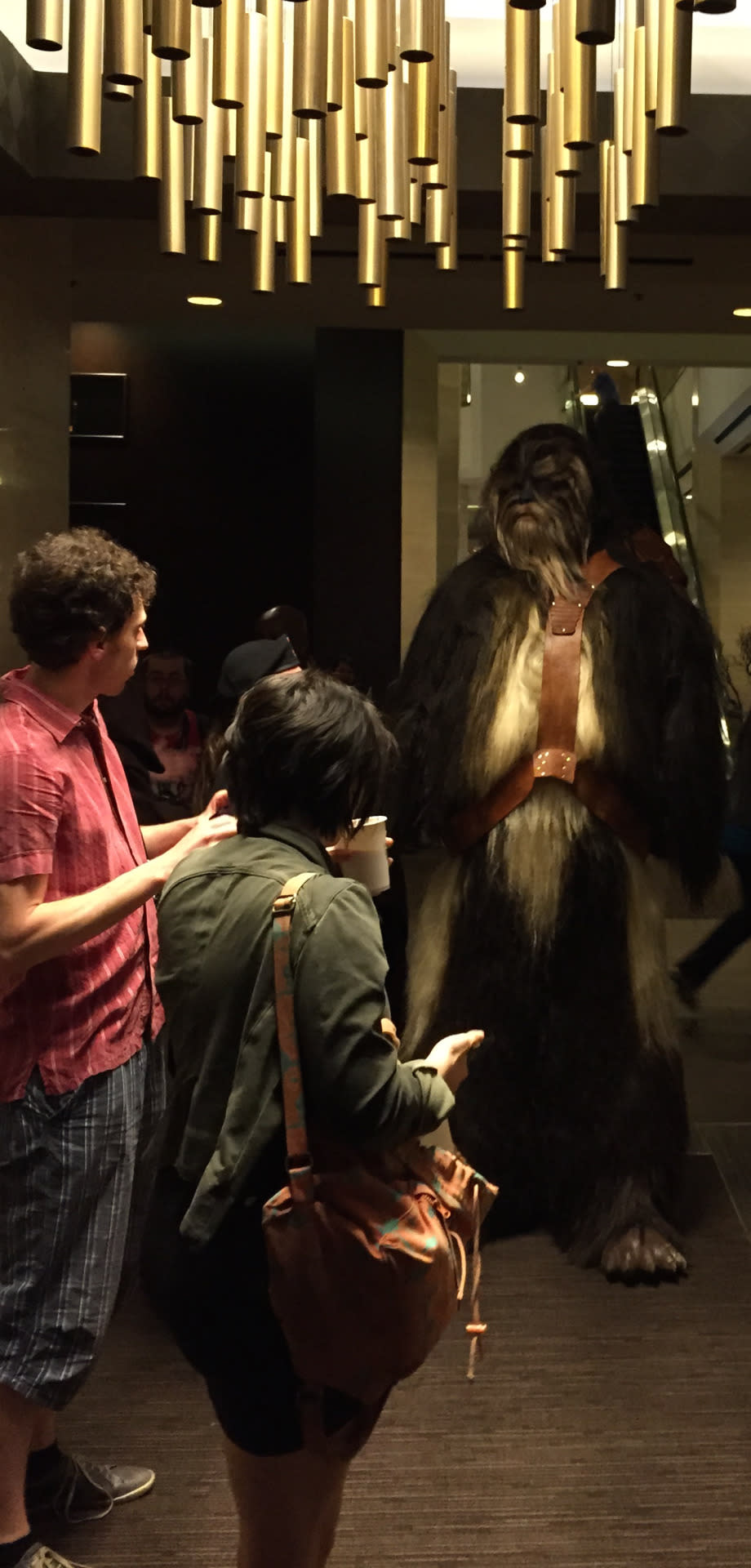 This is what happens when a Wookiee walks into a hotel lobby.