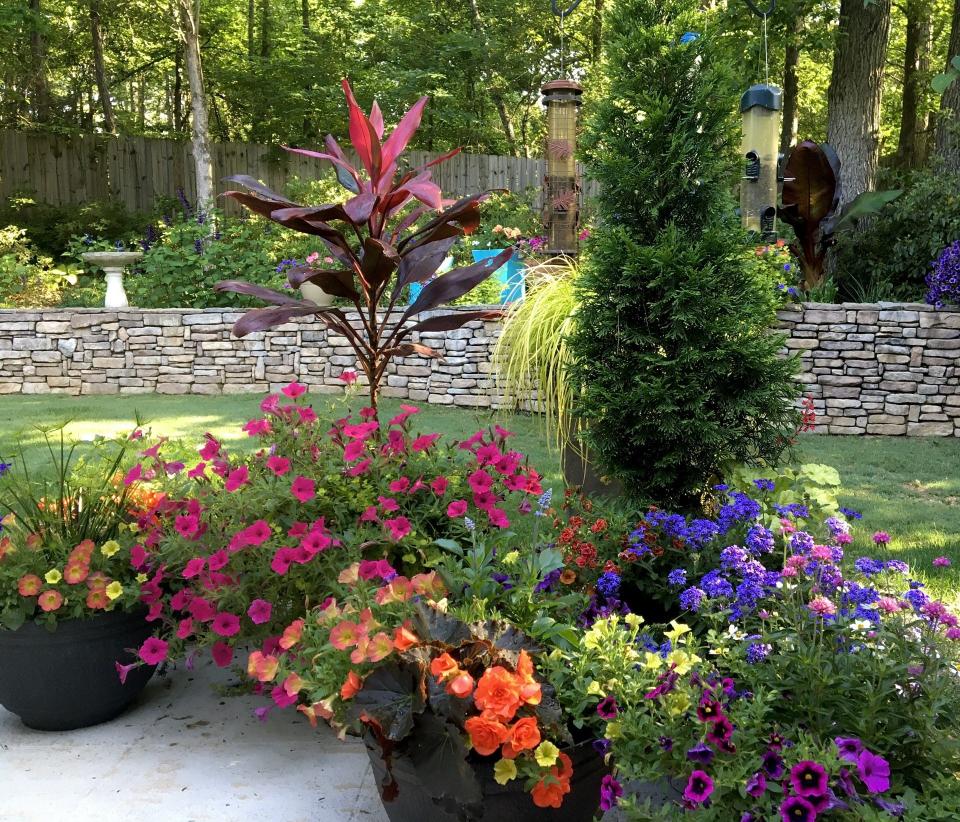 This North Pole arborvitae is the focal point of this patio display.