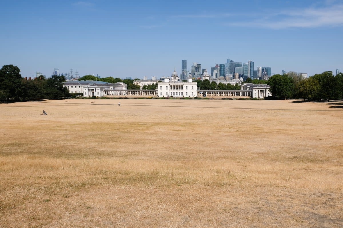 UK drought - parched grass in Greenwich Park, London on Tuesday.  (Future Publishing via Getty Imag)