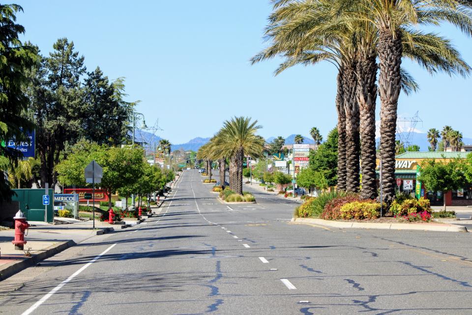 Date palm trees are featured along the center median on Hilltop Drive in Redding.