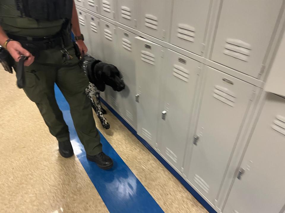 Blaze, a K-9 police dog, sniffs out lockers on Sept. 11, 2023 at Walter J. Baird Middle School in Lebanon, TN., with School Resource Officer Dusty Burton.