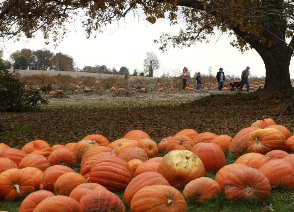 Travel Halloween Images