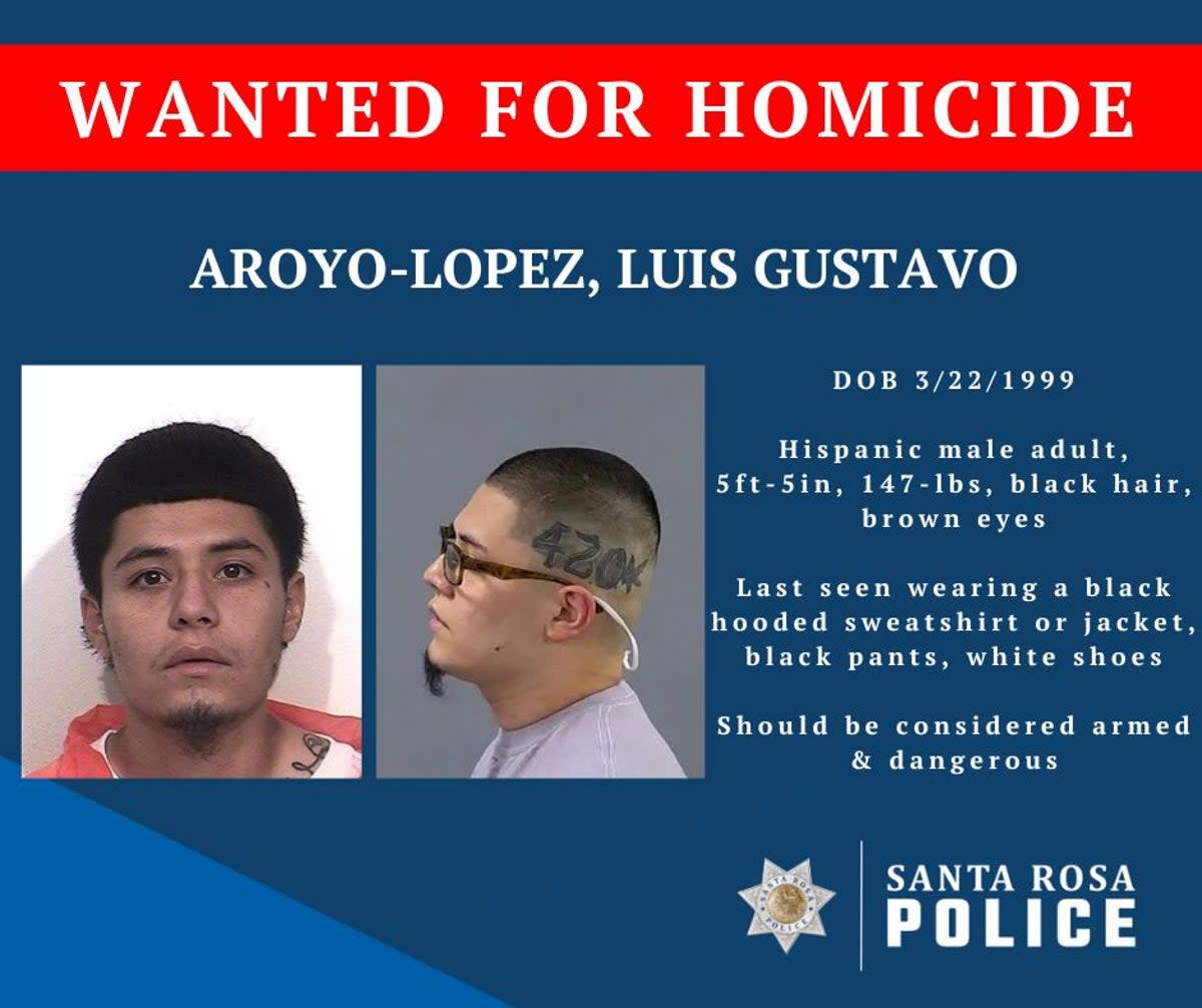 23-year-old Luis Aroyo-López has been accused of decapitating his 64-year-old grandmother.  (Santa Rosa Police Department)