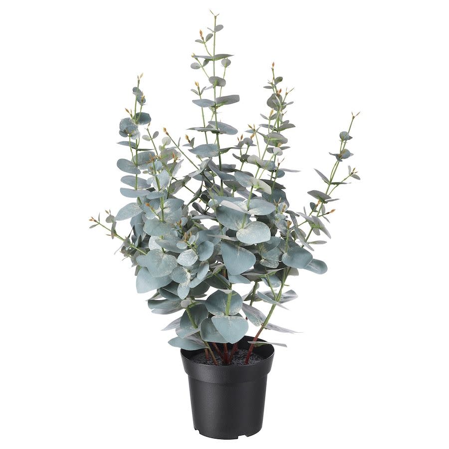 FEJKA Artificial 6" Potted Eucalyptus