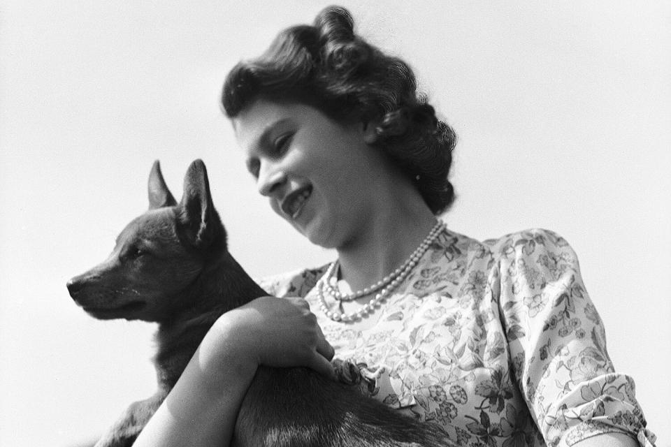 Princess Elizabeth with her pet Corgi Sue or Susan at Windsor Castle, UK, 30th May 1944.