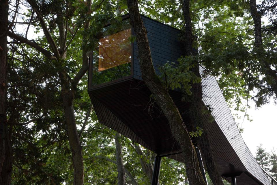 <p><span>Your love will reach new heights in the treehouses at <a rel="nofollow noopener" href="http://pedrassalgadaspark.com/en" target="_blank" data-ylk="slk:Pedras Salgadas Spa and Nature Park;elm:context_link;itc:0;sec:content-canvas" class="link ">Pedras Salgadas Spa and Nature Park</a> in Northern Portugal. The contemporary designs feature vast windows – perfect for stargazing – a bathroom, kitchenette, double bed and sofa. A special Valentine’s package costs from £505 and includes two nights’ B&B, a romantic dinner, couple’s spa treatment and sparkling wine with chocolates. [Photo: Pedras Salgadas]</span> </p>