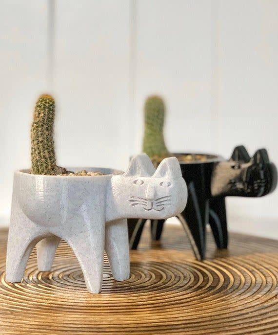 Cat Cactus Planter