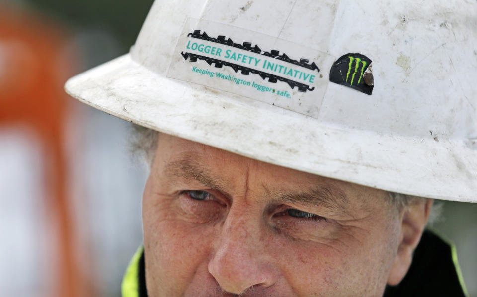 In this Feb. 22, 2017, photo, Rob Deter peers out from under his hard hat where he is part of a crew thinning a 100-acre patch on private land owned by the Nature Conservancy overlooking Cle Elum Lake, in Cle Elum, Wash. As part of a broader plan by the nonprofit environmental group to restore the pine forests of the Central Cascades so they are more resilient to wildfires and climate change, they're cutting down trees to save the forest. (AP Photo/Elaine Thompson)