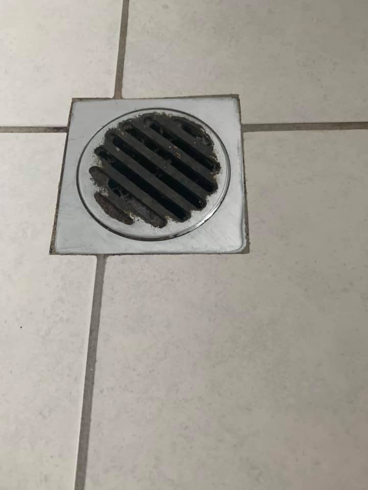 Shower drain covered with black grime 