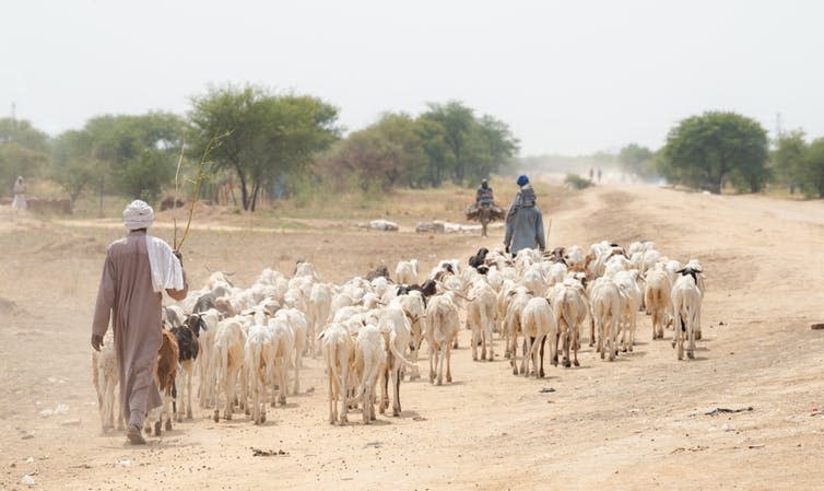 <span class="caption">Africa’s Sahel region contains many of the world’s most climate-vulnerable people.</span> <span class="attribution"><span class="source">mbrand85 / shutterstock</span></span>