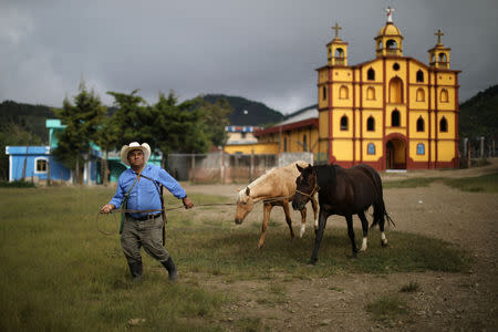 A man leads horses past a church in Aguacate, Huehuetenango, Guatemala, October 29, 2018. REUTERS/Lucy Nicholson