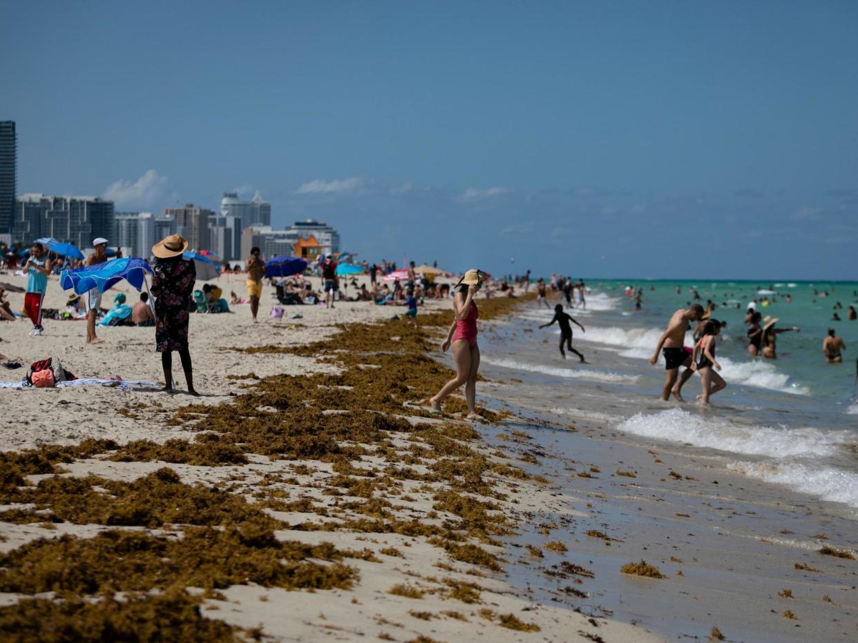 People gather on the beach in Miami, Florida: (2020 Getty Images)