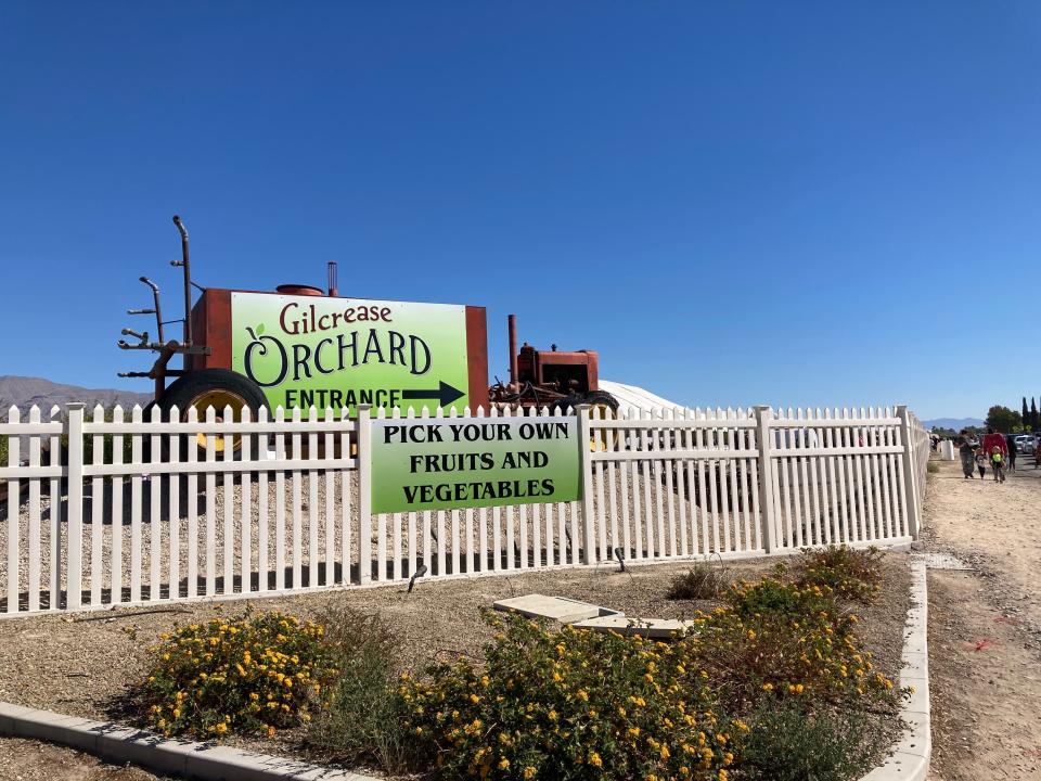 Pumpkins draw in plenty of visitors at Gilcrease Orchard in Las Vegas.