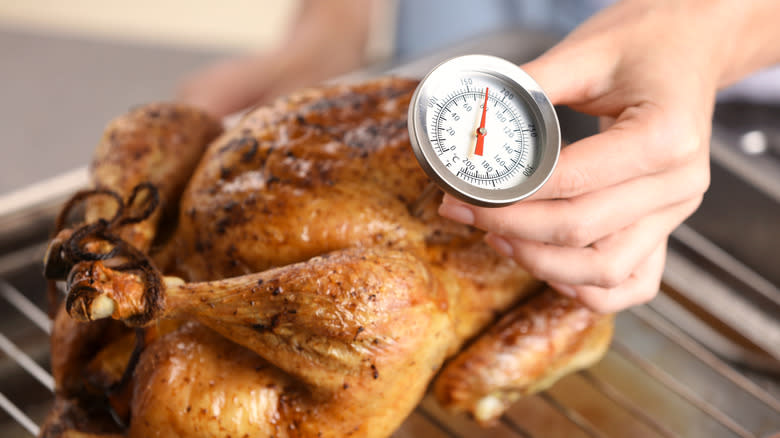 Person checking turkey temperature with thermometer