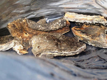 Nearly half a pound of elephant meat, an endangered protected wildlife species from Thailand seized at Los Angeles International Airport, California, U.S. are shown from its confiscation on May 9, 2013. Courtesy CBP/Handout via REUTERS