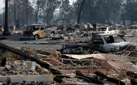 Destroyed homes and cars in a neighborhood in Santa Rosa - Credit: EPA