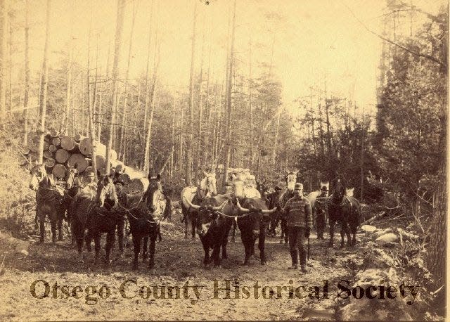 A lumber firm offered early settlers a building lot to encourage new arrivals.