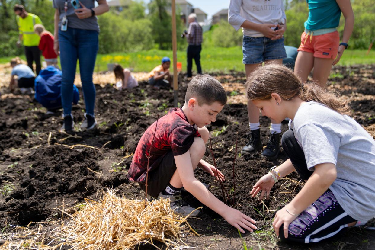 Third graders Logan Burnett and Bree DeCarlo from Brookview Elementary School plant shrubs as students create a mini-forest at Brookview 
Park in West Des Moines, Friday, May 3, 2024.