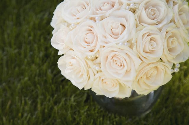 Bouquet of roses Image by:  Marnie Burkhart/Corbis