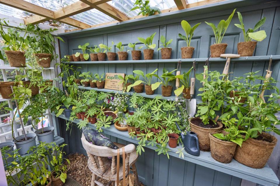 <p>'It's just so peaceful, I can stay in the shed for hours on end, in fact, I often lose track of time while I’m down at the allotment,' Kelly explains. 'It was fun being able to share the journey with people on Instagram – it even encouraged others to start collecting doors for their own ventures too!'</p>