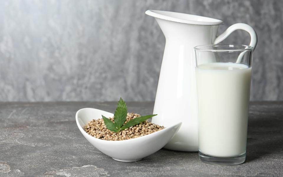 <p>Mit einem Rauschmittel hat Hanfmilch überhaupt nichts zu tun, dafür ist es eine Kuhmilch-Alternative ganz ohne Tierleid. Die Hanfdrinks bestehen aus Hanfsamen und verfügen über wertvolle Omega3-Fettsäuren sowie pflanzliches Protein. Da Hanfmilch allerdings noch nicht so weit verbreitet ist, muss man meist vergleichsweise tief in die Tasche greifen. (Bild: iStock / belchonock)</p> 