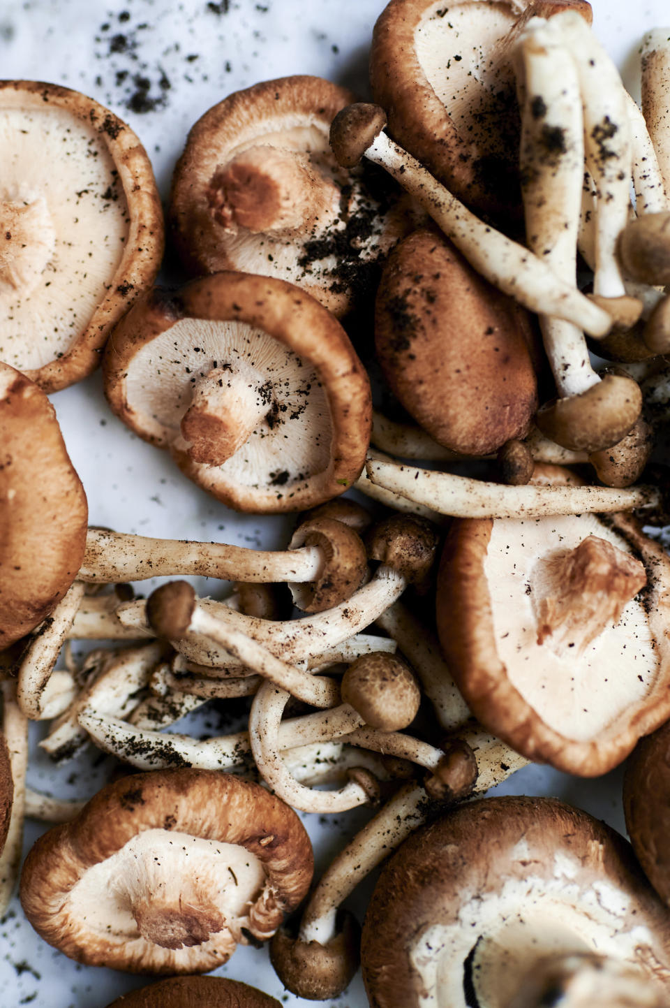 Uncooked mushrooms on marble.