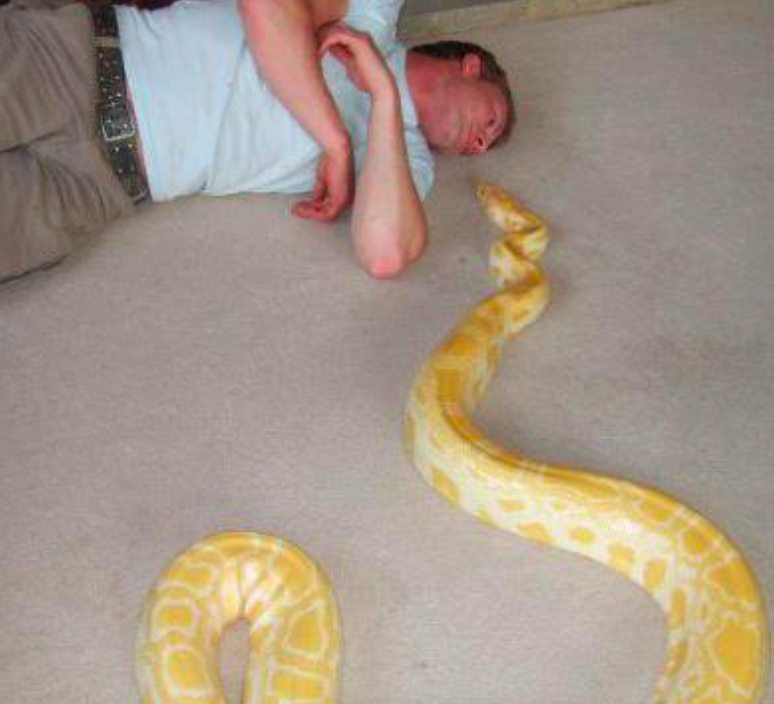 <em>The snake handler was found with serious injuries with his snake nearby (Facebook)</em>