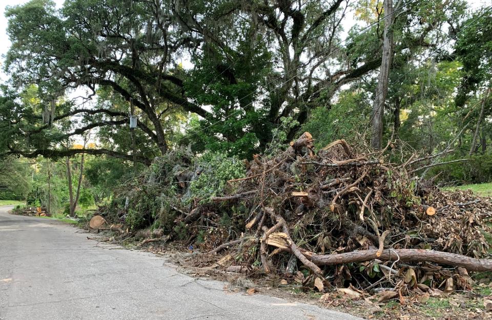 More than a week after the May 10 storms and tornadoes, tree trunks, limbs and other detritus is piled on Tallahassee and Leon County roadsides, 7-8 feet high in some places, as seen here in the Indianhead neighborhood, Tuesday, May 21, 2024.