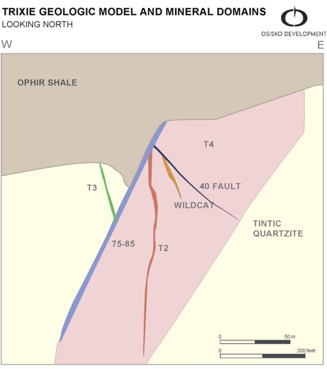 Trixie geologic model and mineral domains cross section