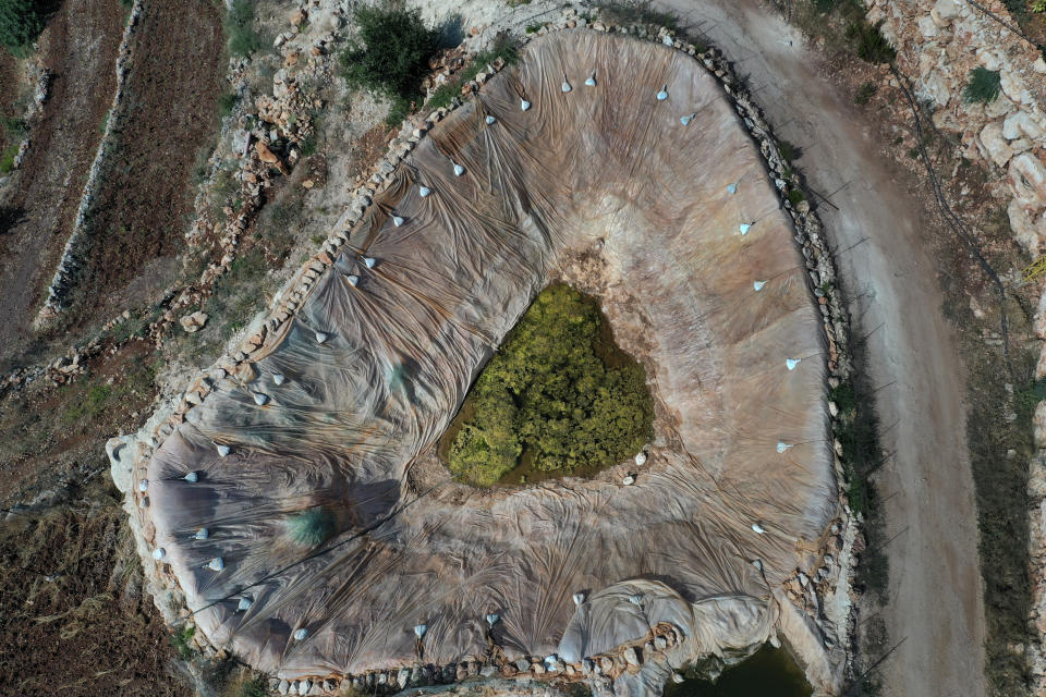 An artificial pond is seen at an agricultural field at Harf Beit Hasna village, in Dinnieh province, north Lebanon, Wednesday, Sept. 7, 2022. Farmers in a small mountainous town in Lebanon's northern Dinnieh province once could rely on rain to irrigate their crops and sustain a living. But climate change and the country's crippling economic crisis has left their soil dry and their produce left to rot. They rely on the little rain they can collect in their innovative artificial ponds to make enough money to feed themselves, as they live without government electricity, water, and services. (AP Photo/Hussein Malla)