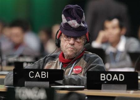 Delegates attend the closing session of the 19th conference of the United Nations Framework Convention on Climate Change (COP19) in Warsaw November 22, 2013. REUTERS/Kacper Pempel