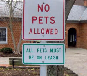 contradictionnopets