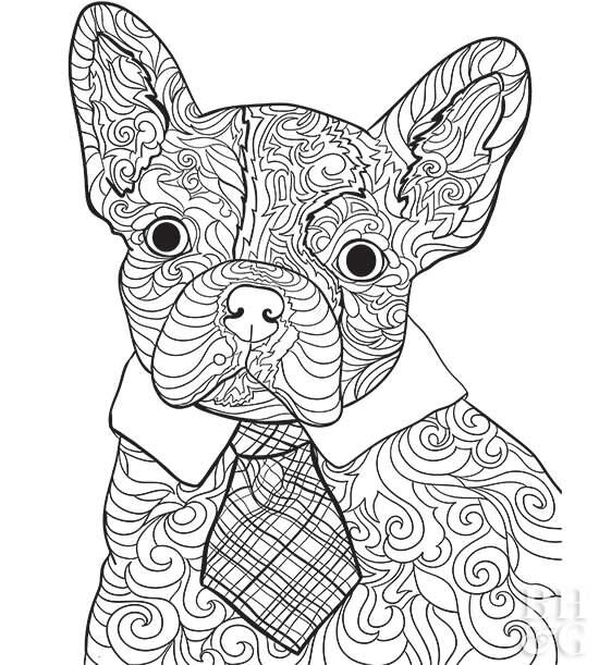 Free Coloring Pages for Kids of All Ages - Chicago Parent