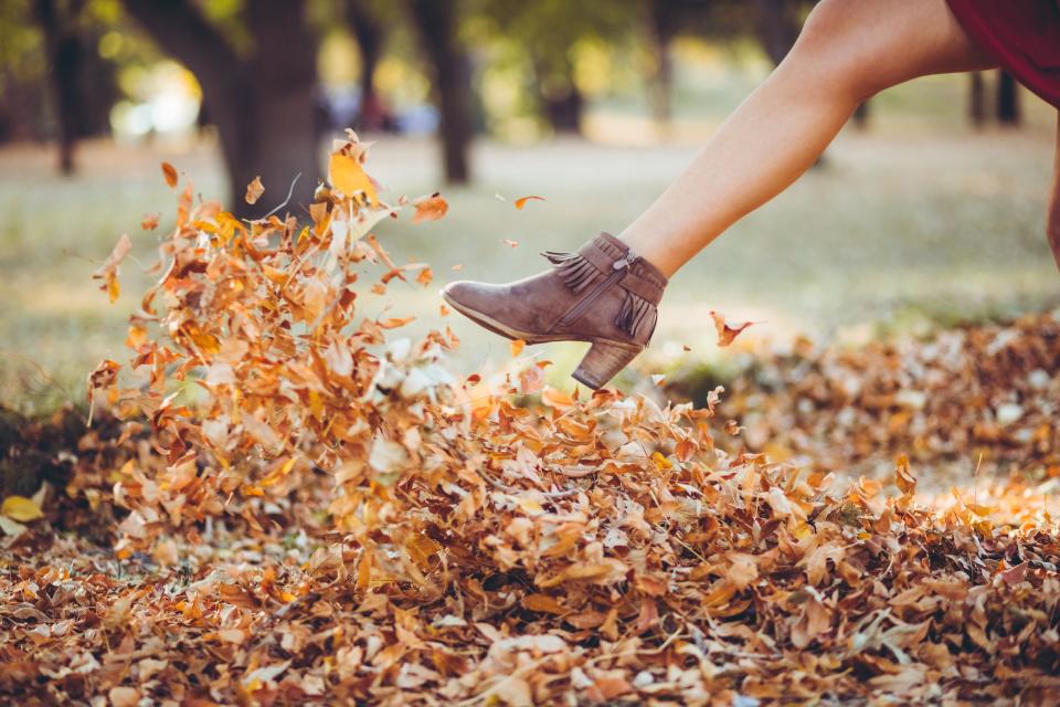 A person's leg wearing stylish fringe ankle boots kicks a pile of autumn leaves in a park