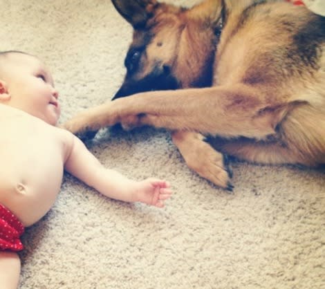 5 Ways to Prepare Your Dog to be Baby's Best Friend