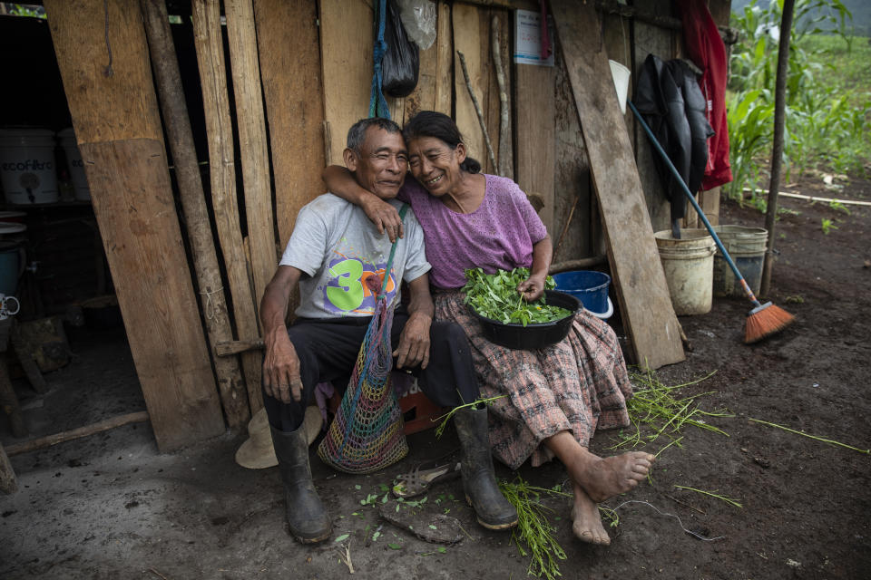 Newlyweds Rosario Cal, 67, and Santiago Suc Lem, 70, pose for a photo while cleaning the greens of a legume known as chipilin, outside their home in the makeshift settlement Nuevo Queja, Guatemala, Sunday, July 11, 2021. The couple are among the survivors of a mudslide triggered by Hurricane Eta that buried their Guatemalan town and now live in the temporary settlement founded close to their buried homes. (AP Photo/Rodrigo Abd)