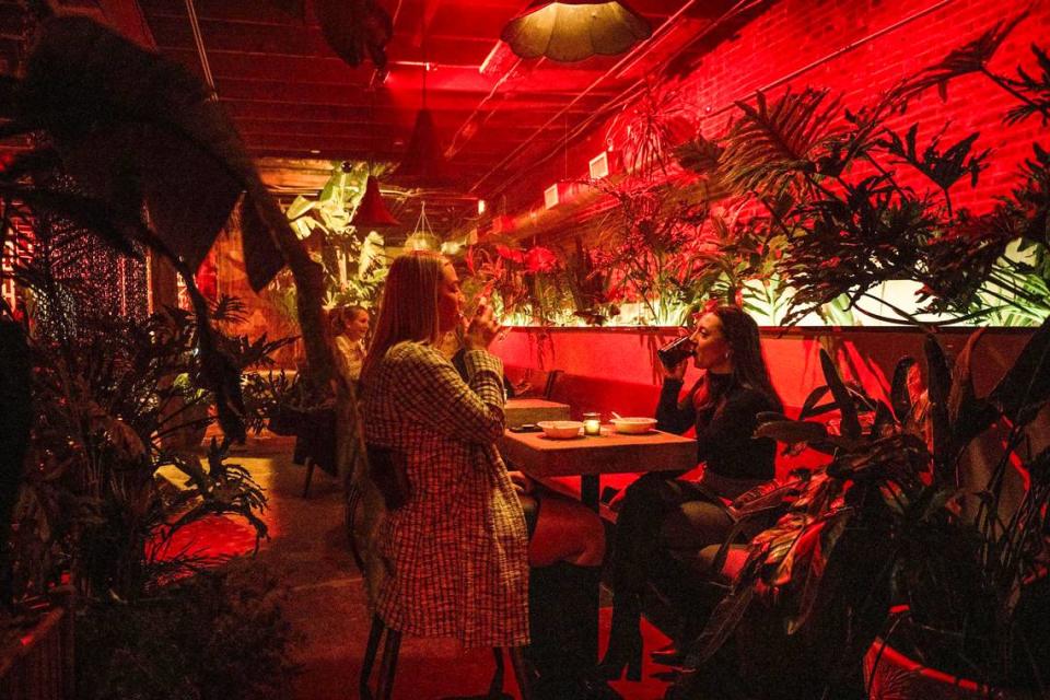 Plants line a row of cafe tables to the side of the dance floor at In the Lowest Ferns.