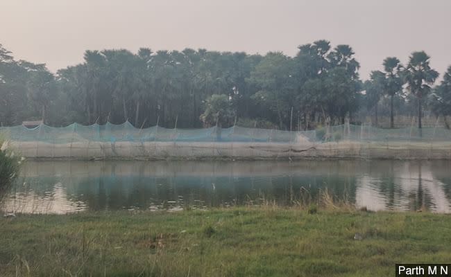 The forests beyond the river where the locals make hooch.