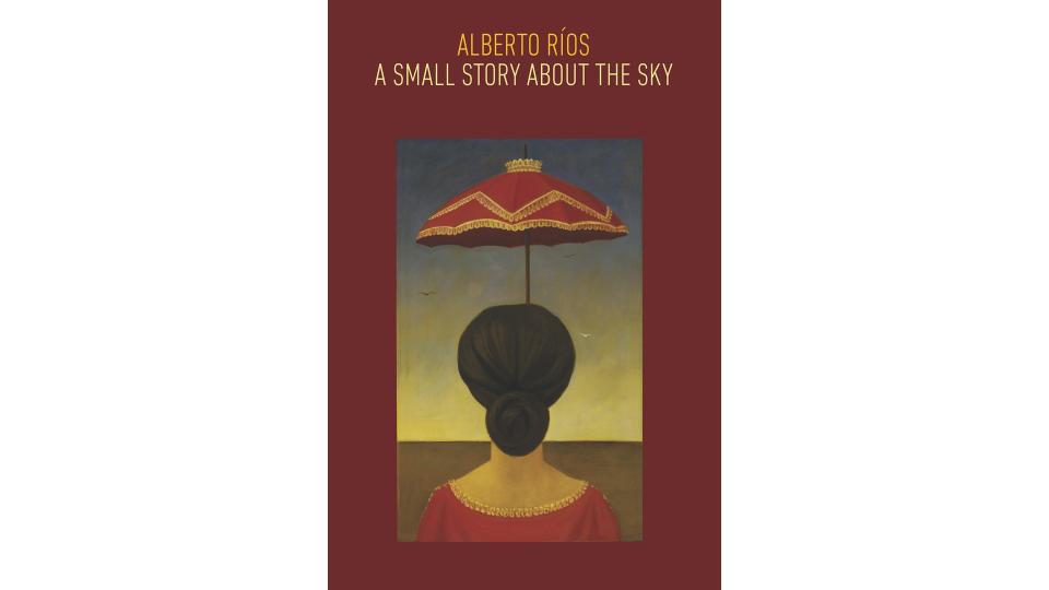Arizona Republic / Reviewed 2019 gift guide: A Small Story About The Sky