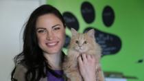 Cat cafe to 'pawp up' in Windsor