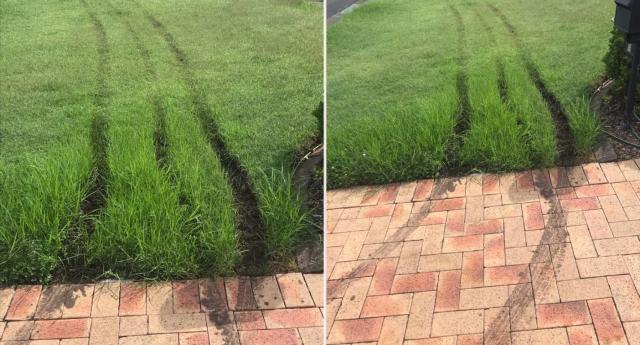 Tyre tracks in lawn and on brick driveway, left by Australia Post worker