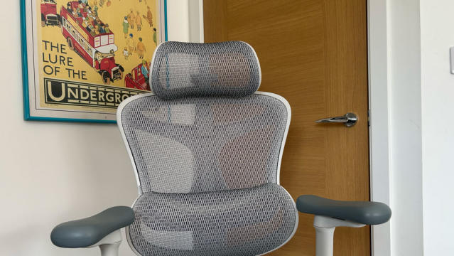 Sihoo Doro C300 Ergonomic Office Chair review: specs, cost