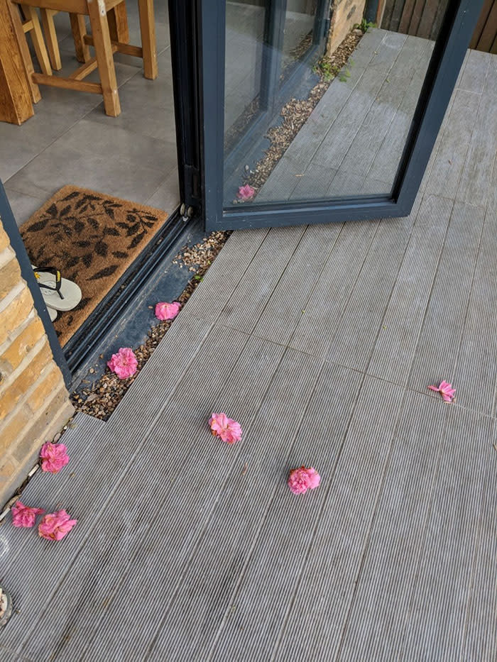 Rosie didn’t know how all these flowers were getting to her front door.