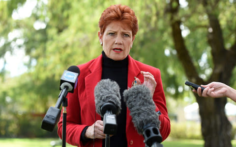 Queensland Senator-elect One Nation Party nominee Pauline Hanson takes questions from the media during a news conference in Brisbane - Credit:  DAN PELED/EPA